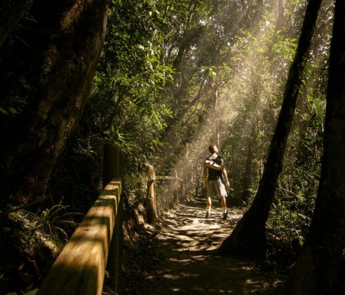 Experience the beauty of untouched wilderness.